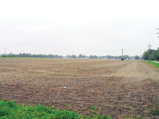 Property photo 4 - 76.8 +/- Acres Mostly Tillable - Land Auction